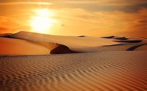 Woestijn uitsnede