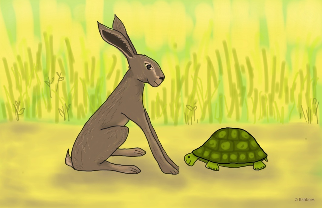 Haas en Schildpad A